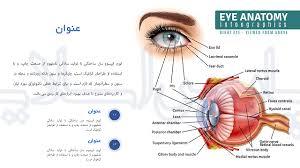 اسرار طراحی اسلاید پاورپوینت که چشم‌ها را خیره می‌کند