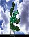 علوم انسانی مجموعه زبان و ادبیات فارسی زبان و ادبیات فارسی