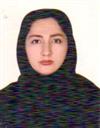 علوم انسانی مجموعه زبان انگلیسی آموزش زبان انگلیسی