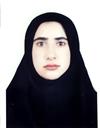 فنی و مهندسی مجموعه مهندسی کامپیوتر مهندسی کامپیوتر - نرم افزار