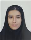 هنر نوازندگی ساز جهانی نوازندگی ساز جهانی